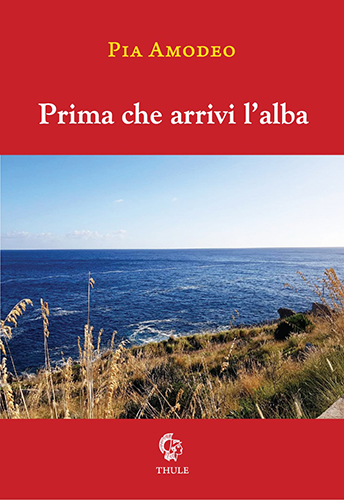 Pubblichiamo la prefazione di Maria Patrizia Allotta al volume "Prima che arrivi l'alba" di Pia Amodeo (Ed. Thule)