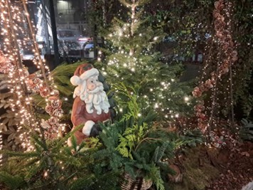 "Il Nuovo Anno" di Giovanni Teresi e altre poesie